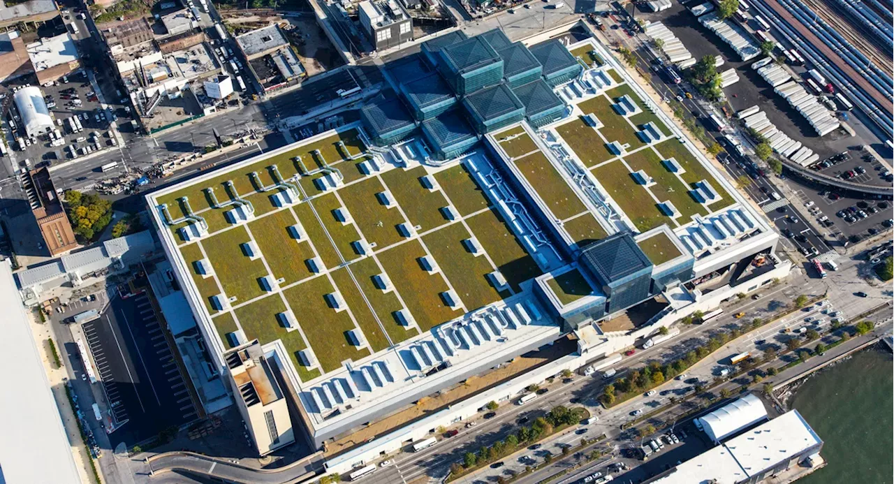 How an 8-acre green roof atop the Javits Center is boosting NYC’s biodiversity