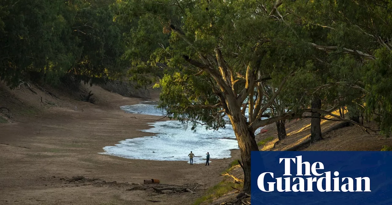 Murray-Darling Basin plan: government should expand voluntary buybacks, Productivity Commission finds