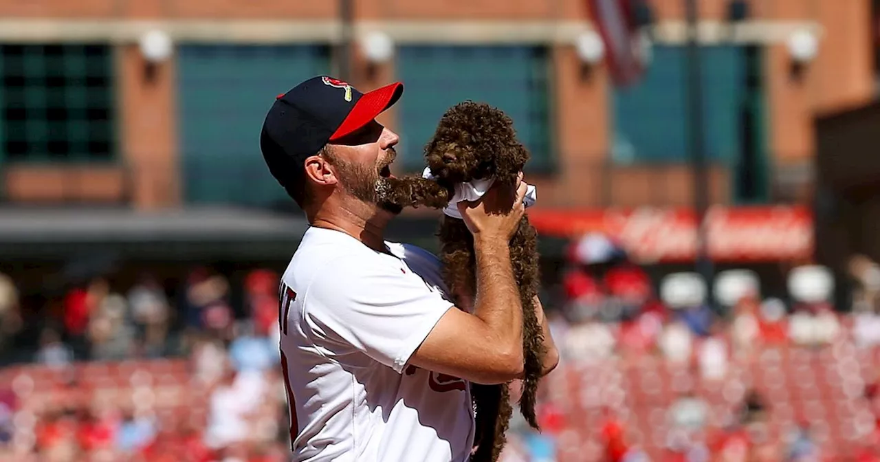 Adam Wainwright Balances Post-Playing Career with Family and New Ventures