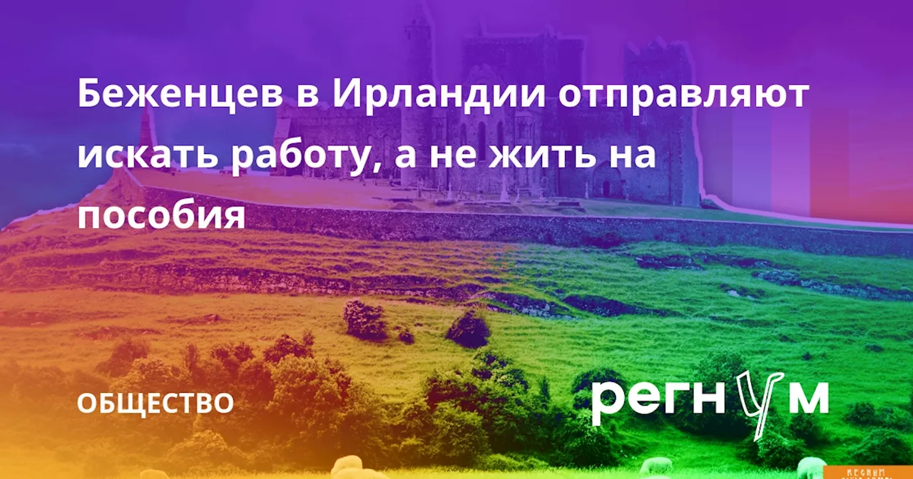 Беженцев в Ирландии отправляют искать работу, а не жить на пособия