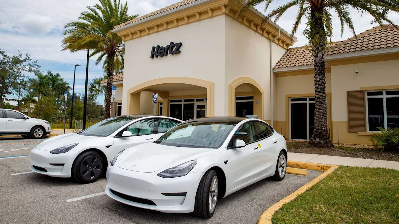 Teslas, Chevrolets Among Most Popular Electric Vehicles For Fleet Use