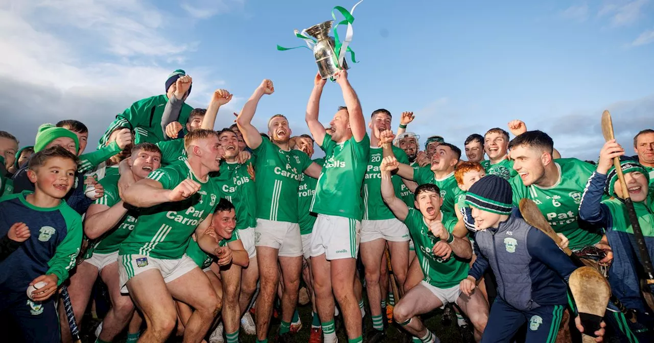 Rugby legend's son wins county hurling championship