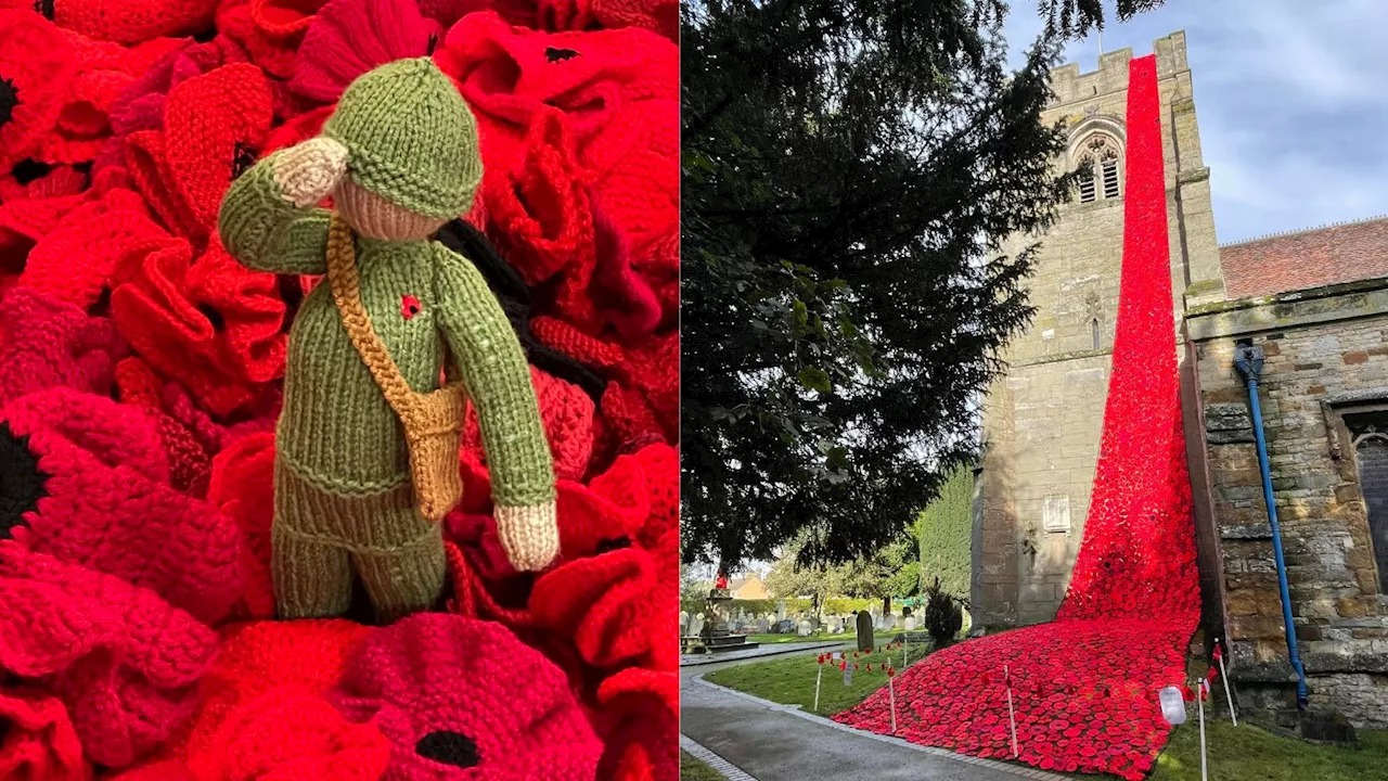 Thousands of Hand-Crocheted Poppies on Display in Wellesbourne