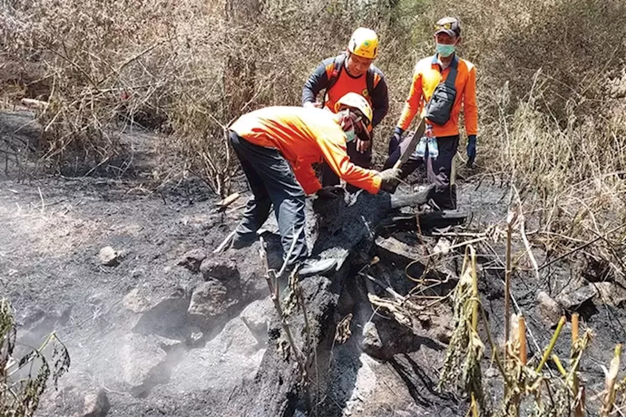 Api di Gunung Merbabu Akhirnya Padam, Petugas Kembali Sisir Area Kebakaran