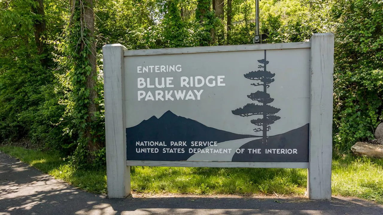 Stretch of Blue Ridge Parkway closed after visitors attempt to hold young bear