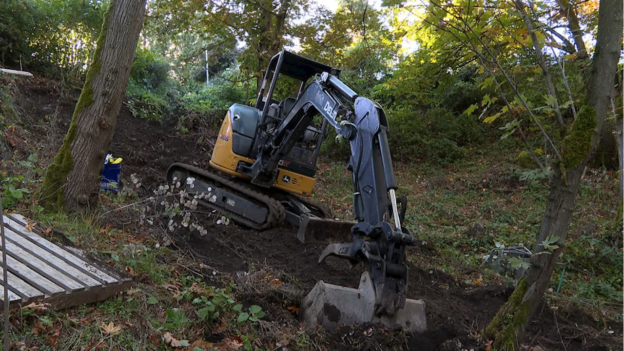 Beacon Hill park vandalized by man with stolen excavator, nearby residents frustrated