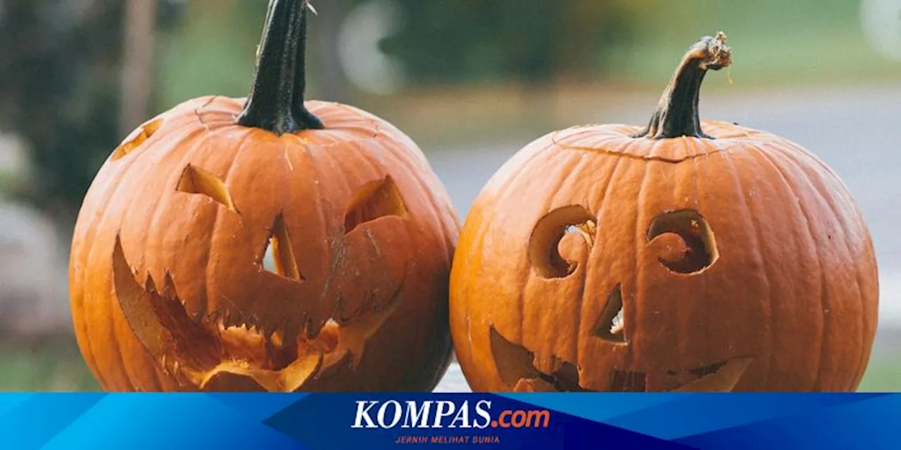 Asal-usul Labu Kuning Jadi Dekorasi Halloween