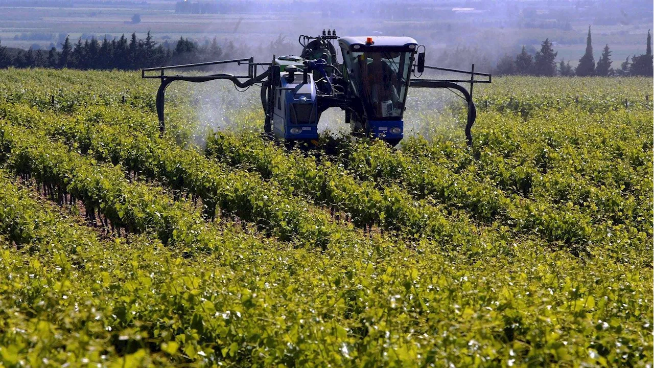 Pesticides : la France veut réduire leur usage de moitié entre 2015-2017 et 2030