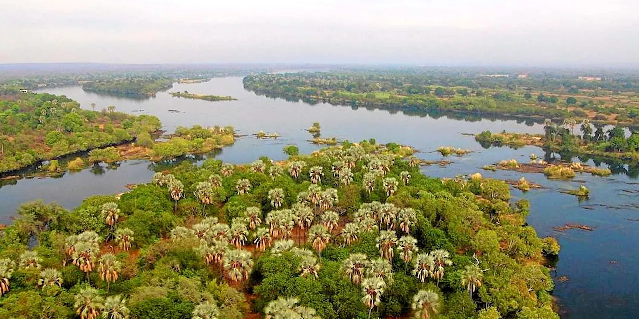 Croisière-safari en Afrique australe : trois pays et un lodge