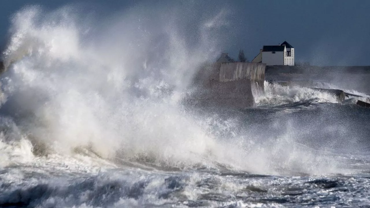 Rafales à 150 km/h, fortes pluies : la tempête Ciaran s'annonce exceptionnelle