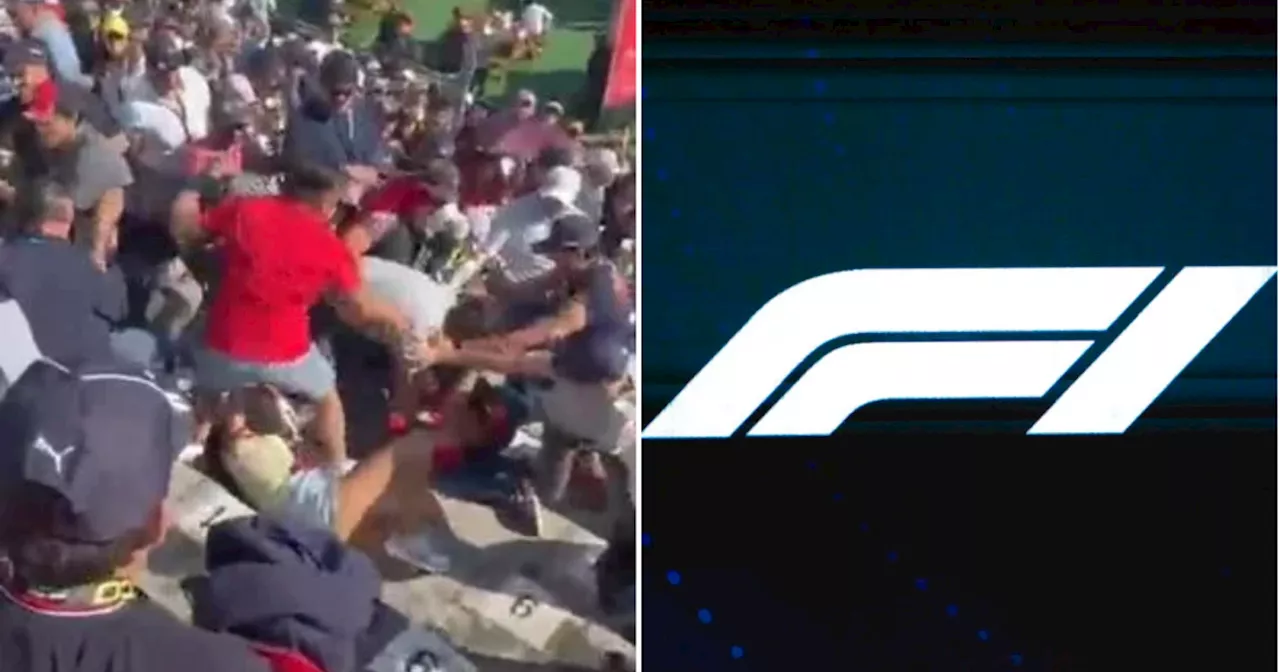 Fan Ejected and Banned for Life After Brawl at Mexican Grand Prix