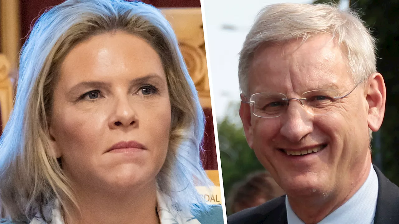 Carl Bildt hamret løs på Sylvi Listhaug: Nå har han snudd