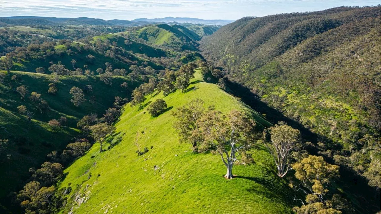 New 38km Mountain Bike Trail Opens at Mount Remarkable National Park