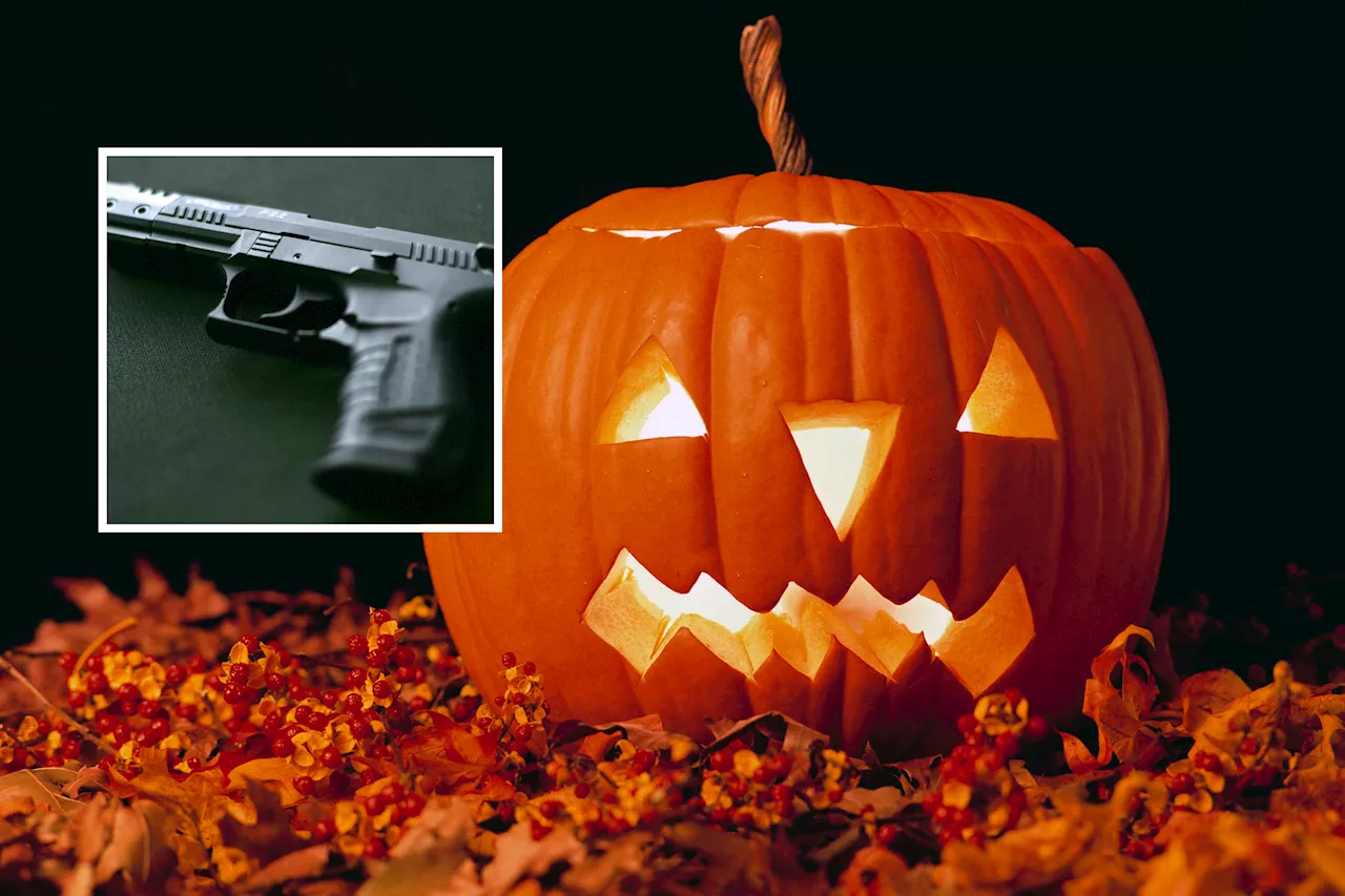 Man Points Gun at 6-Year-Old Bringing Halloween Gift to Wrong House: Police