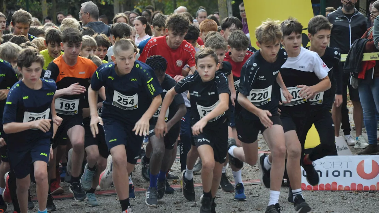 Marktlauf in Böheimkirchen bewegte die Massen