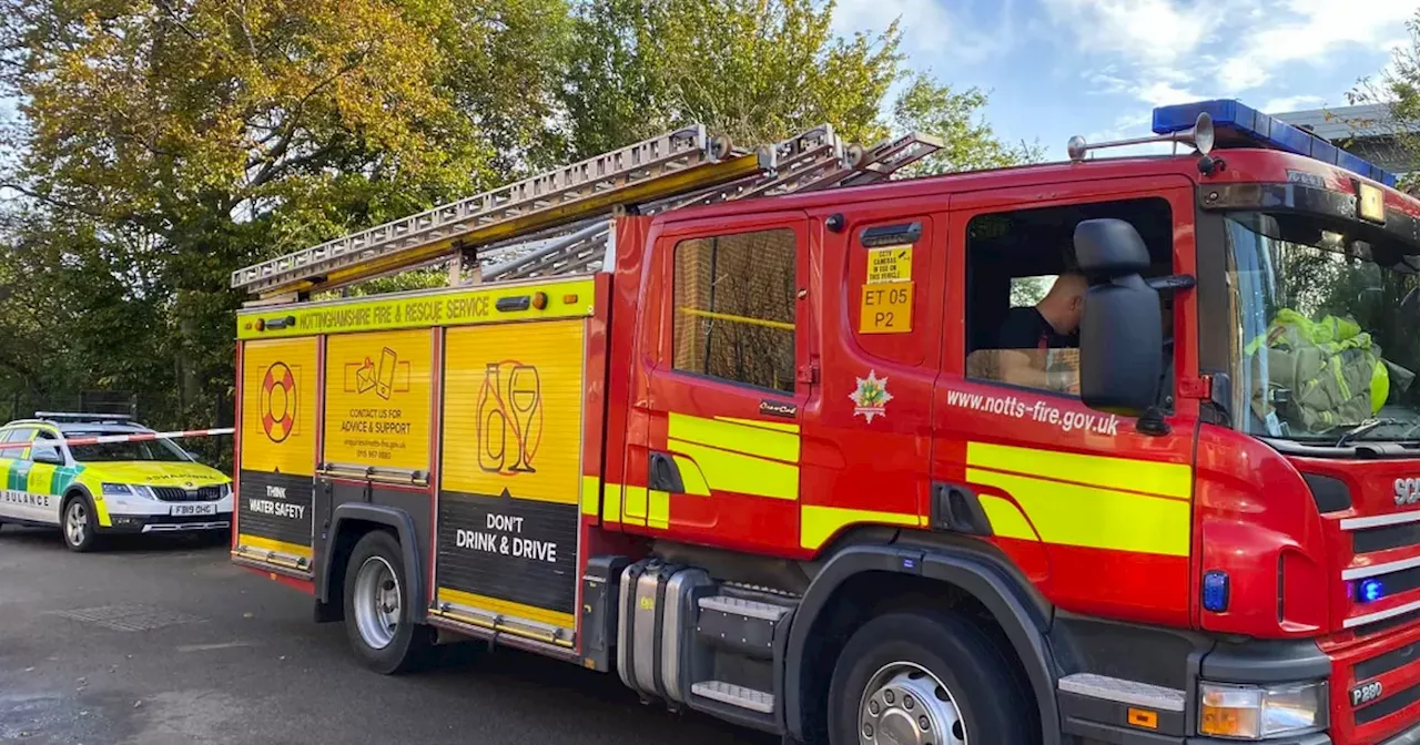 Emergency services called to house fire - and save pet hamster