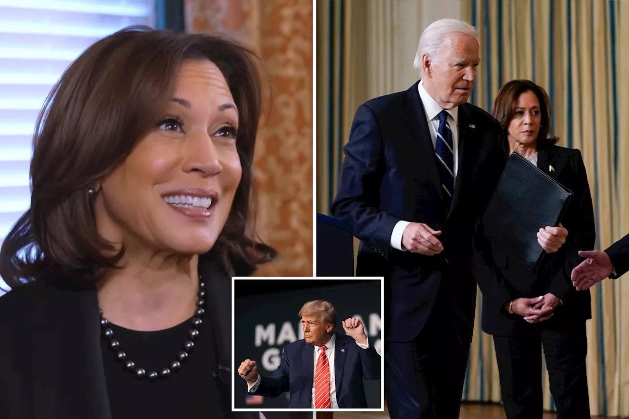 Kamala Harris says Biden ‘very much alive and running for re-election’