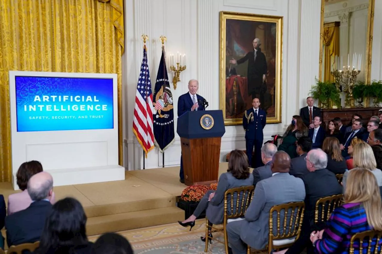 Biden signs executive order to address AI concerns