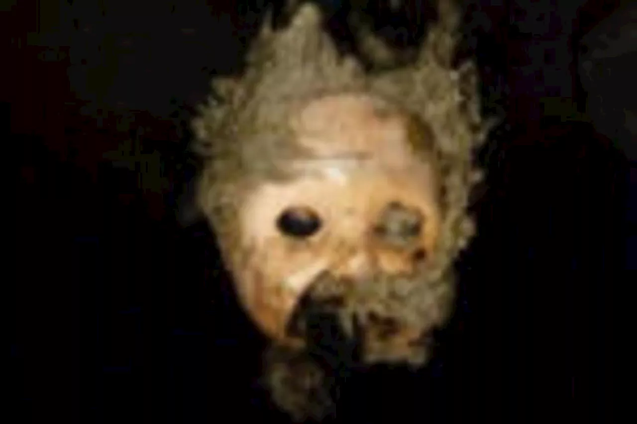 Spooky doll’s head is a nightmare for sewer crew