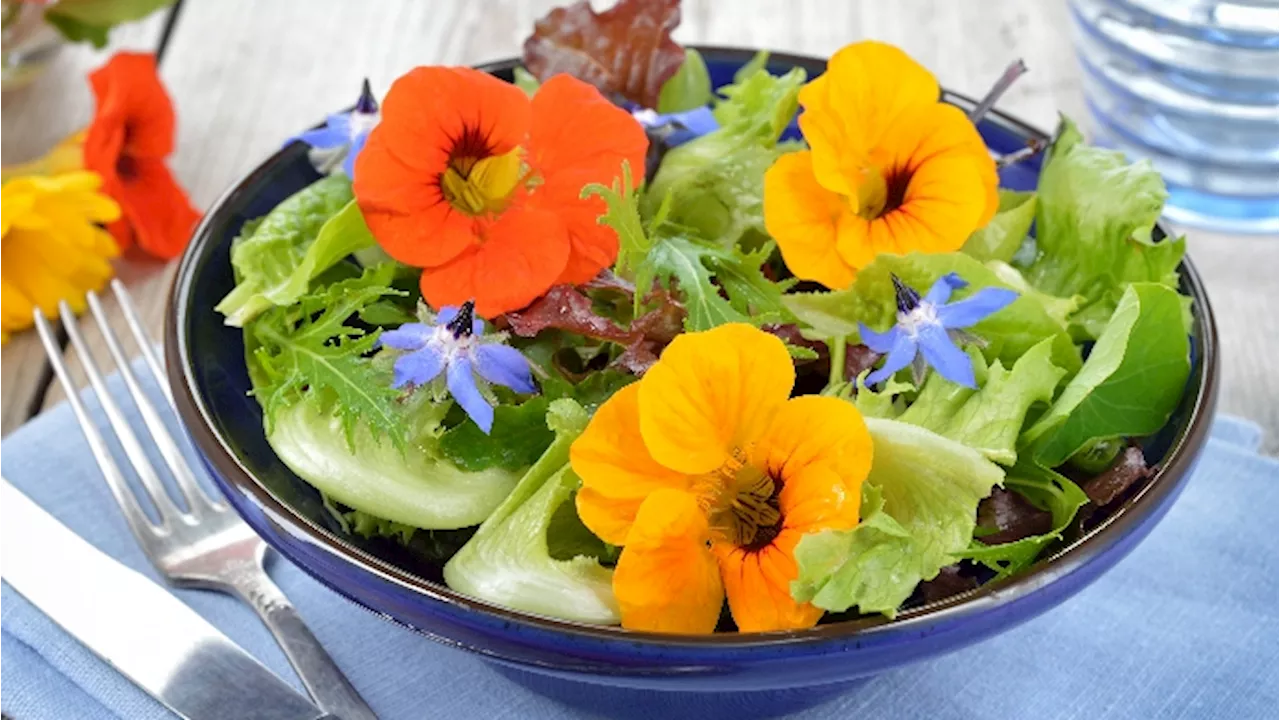 Fiori commestibili: quali sono, che proprietà hanno e come si abbinano nelle ricette