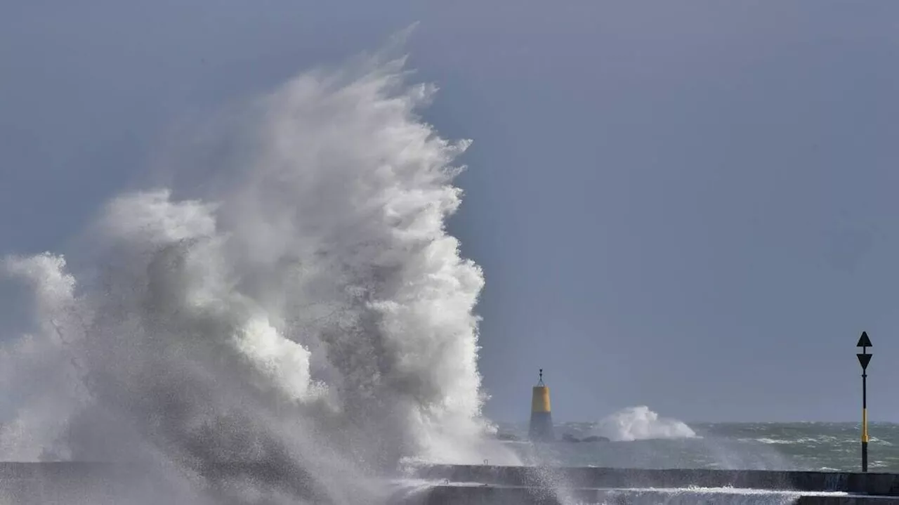 ENTRETIEN. Tempête Ciaran : les rafales pourraient atteindre 150 km/h, prévient ce météorologue