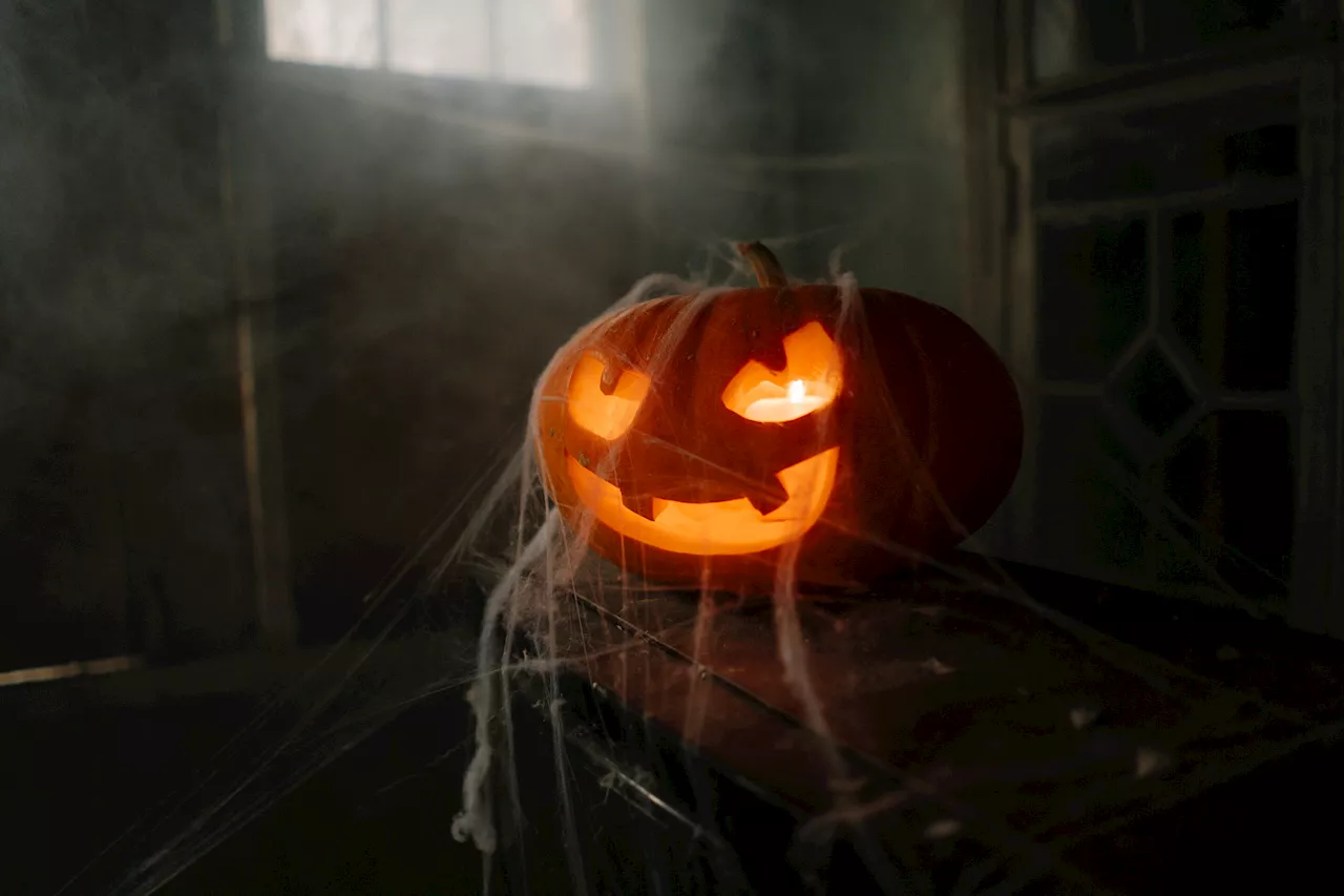 Fake Halloween spiderwebs are truly scary—to wildlife