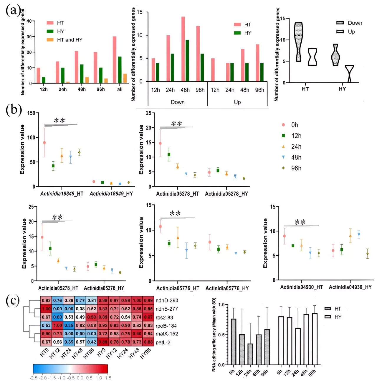 Researchers unveil role of pentatricopeptide repeat proteins in kiwifruits under pathogen stress