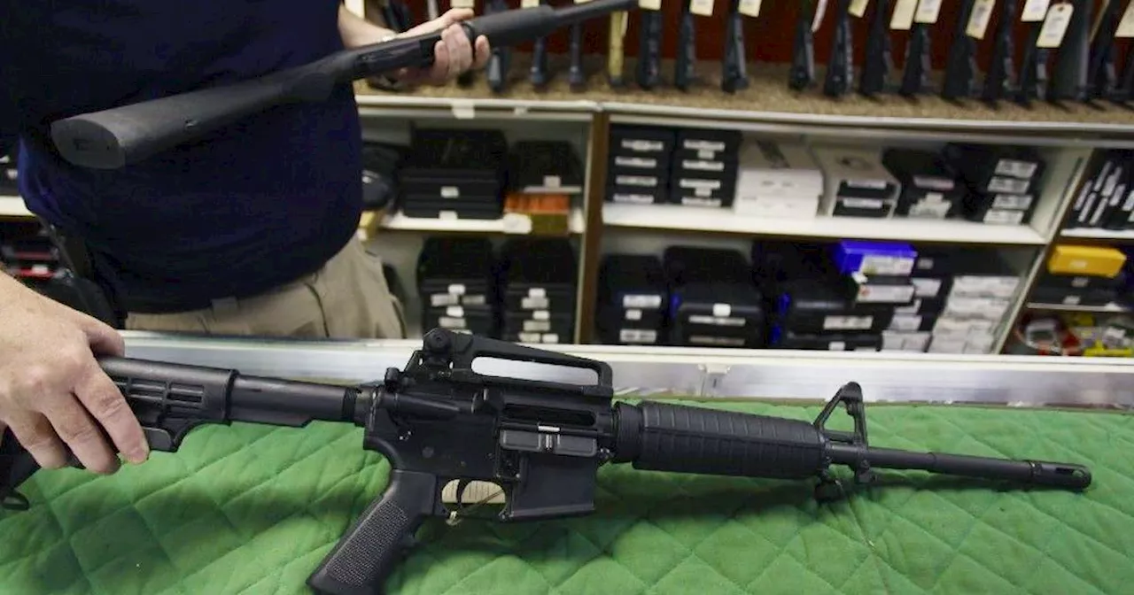 Federal Court strikes down challenge to 2020 gun ban