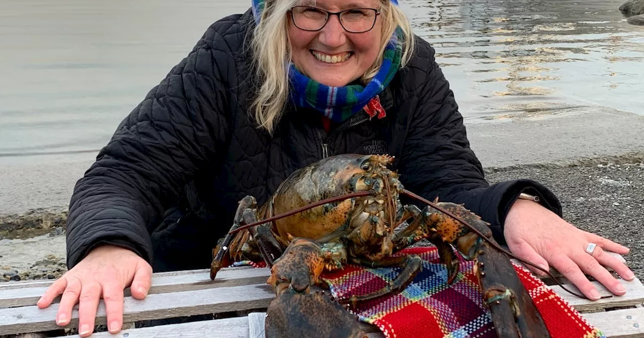 Lob’STAR auditions open for 2024 Nova Scotia Lobster Crawl