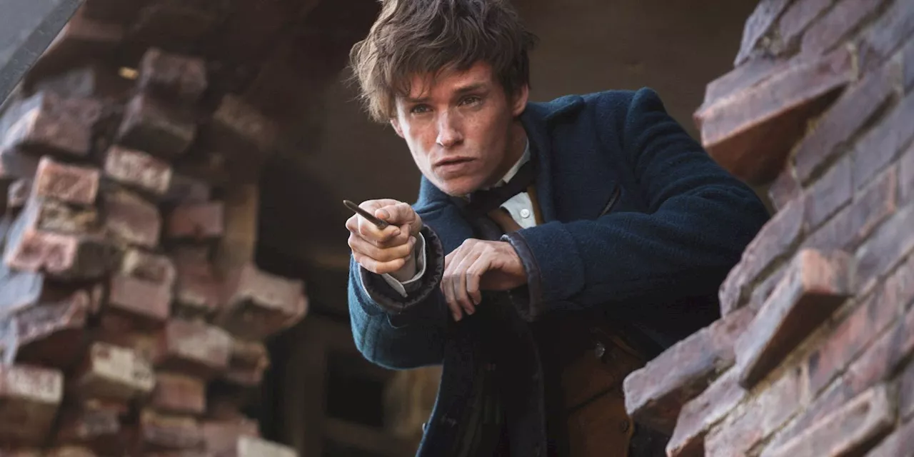 Fantastic Beasts 4 Gets A Discouraging Update, But Newt Could Yet Return Says Director