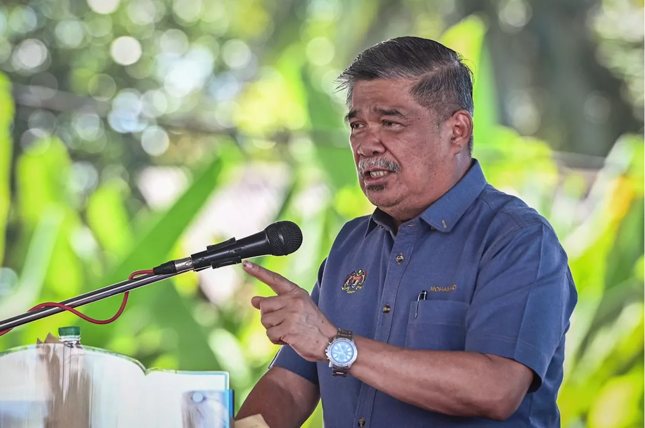 Targeted subsidies if chicken prices surge again, says Mat Sabu