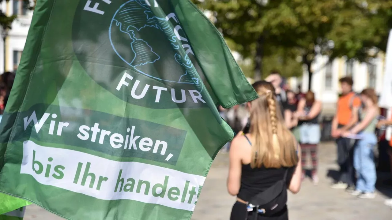 Fridays For Future: Der Krieg In Nahost Spaltet Die Bewegung | Deutschland