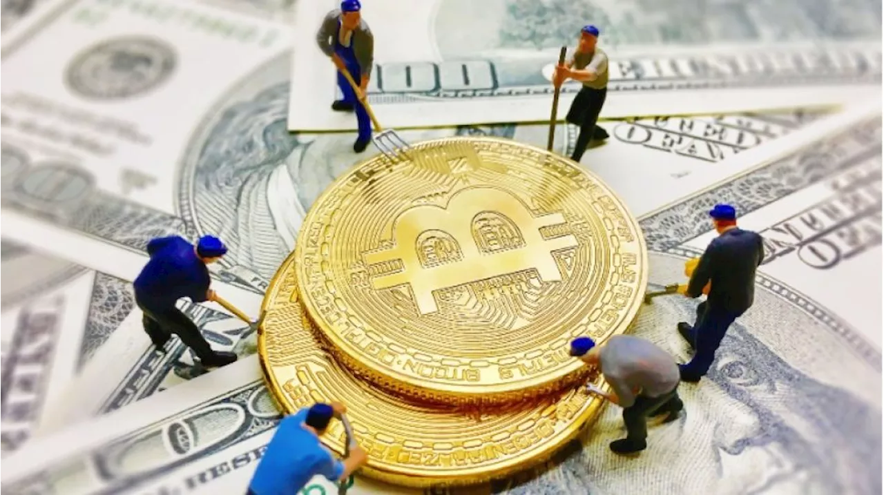 Bitcoin Mulai Naik Lagi, Pintu Beberkan Strategi Mengedukasi Pasar