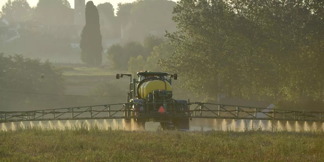 Agriculture : la France veut réduire l’usage des pesticides de moitié d’ici 2030