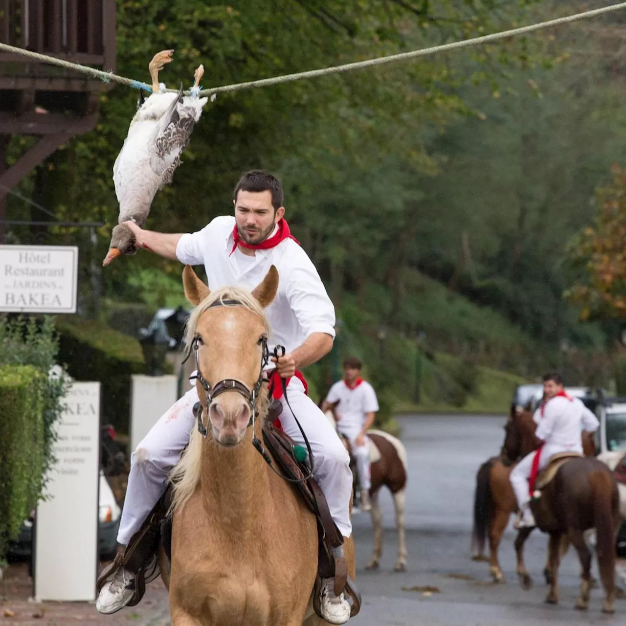 Biriatou : les tripotx, les oies, la musique, la pelote et le mus rythment les fêtes