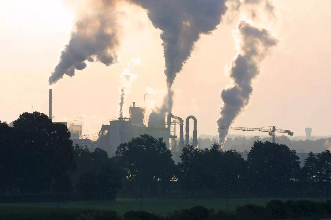 Les crédits carbone remis en question lors de la COP28