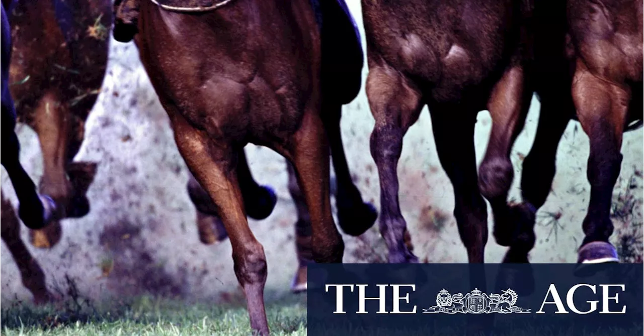 Bookmakers want answers over allegedly missing funds invested by law firm