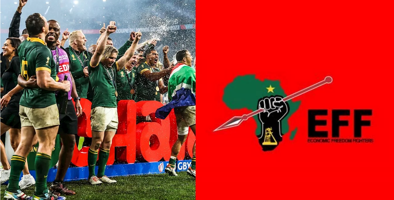 ‘Confused much?’: EFF slammed for message to the Springboks [watch]