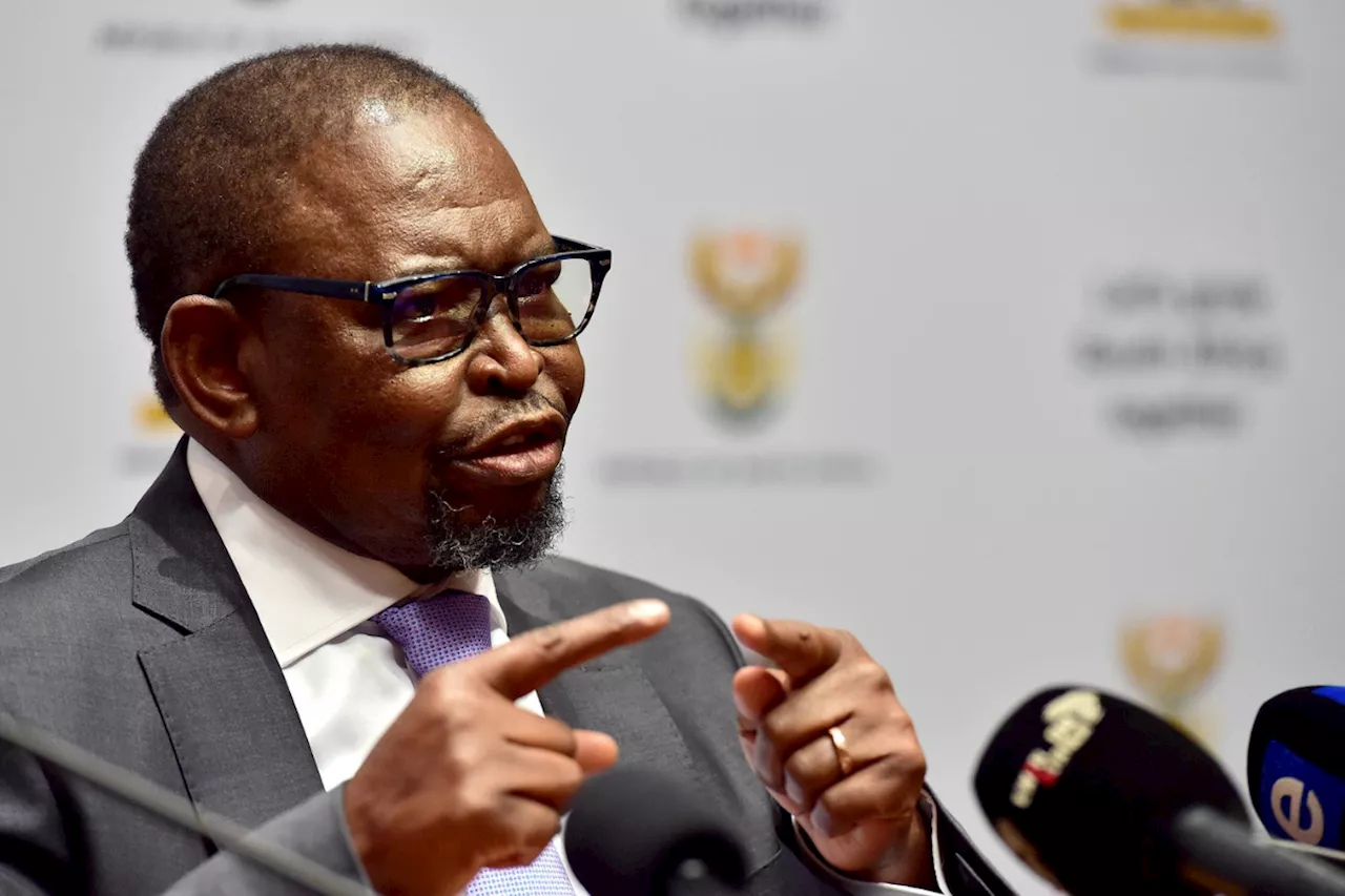 Medium-term budget: Will the R350 SRD grant be extended?