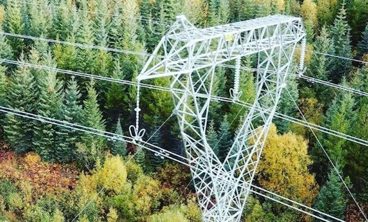 BC Hydro asks for 2.3% rate increase to start spring 2024