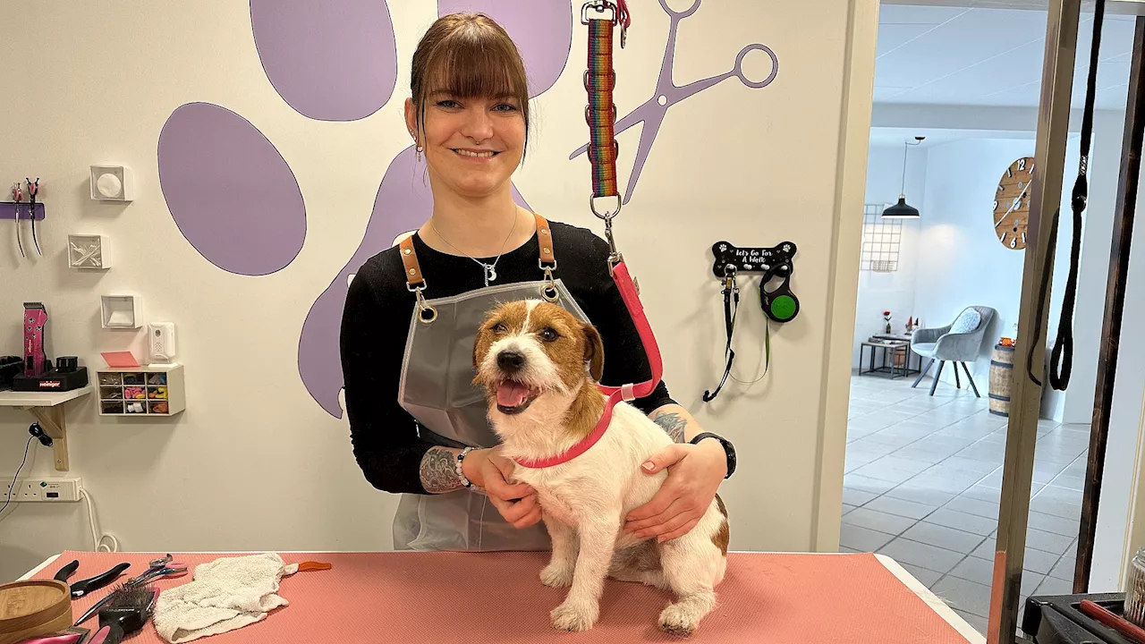 Hundefrisør fra Storvorde tæt på at vinde stor pris