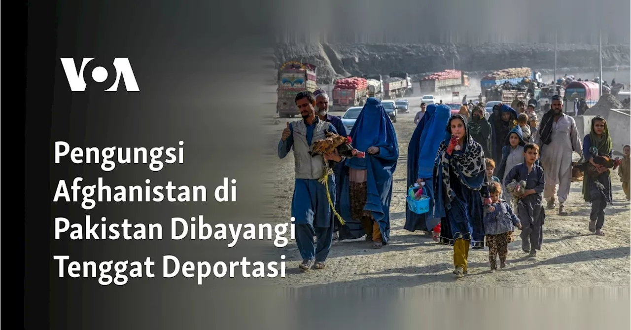 Pengungsi Afghanistan di Pakistan Dibayangi Tenggat Deportasi