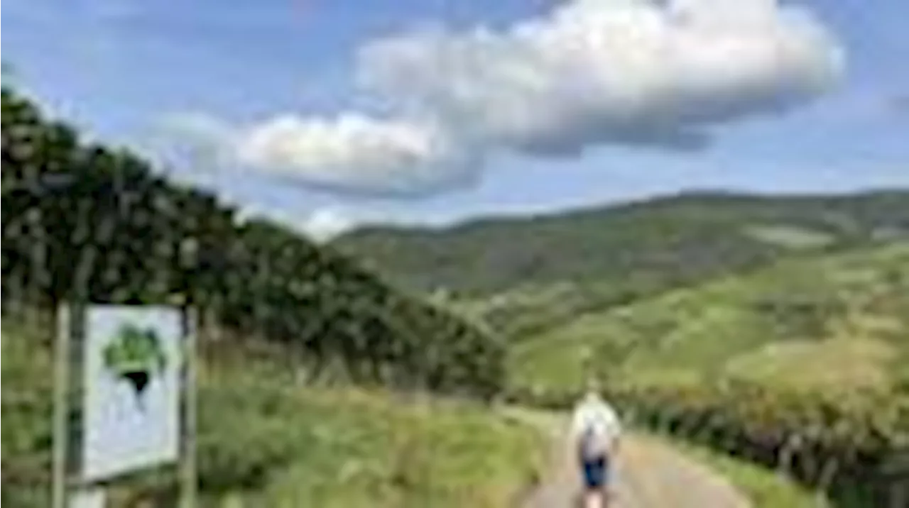 Unberührte Natur: Im Schwarzwald entdecken Wanderer die Wildnis