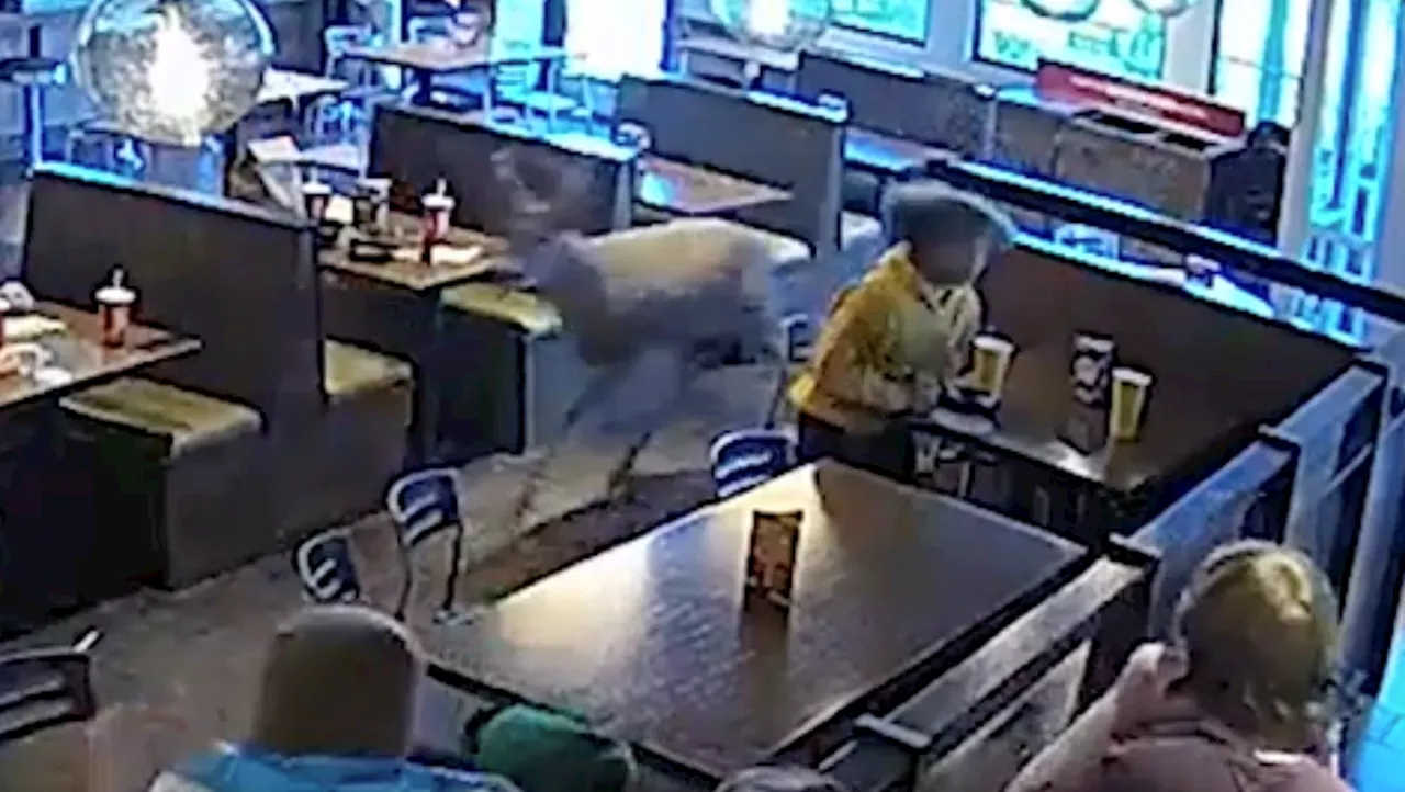 VIDEO: Buck breaks through window during lunch rush at Noodles and Company