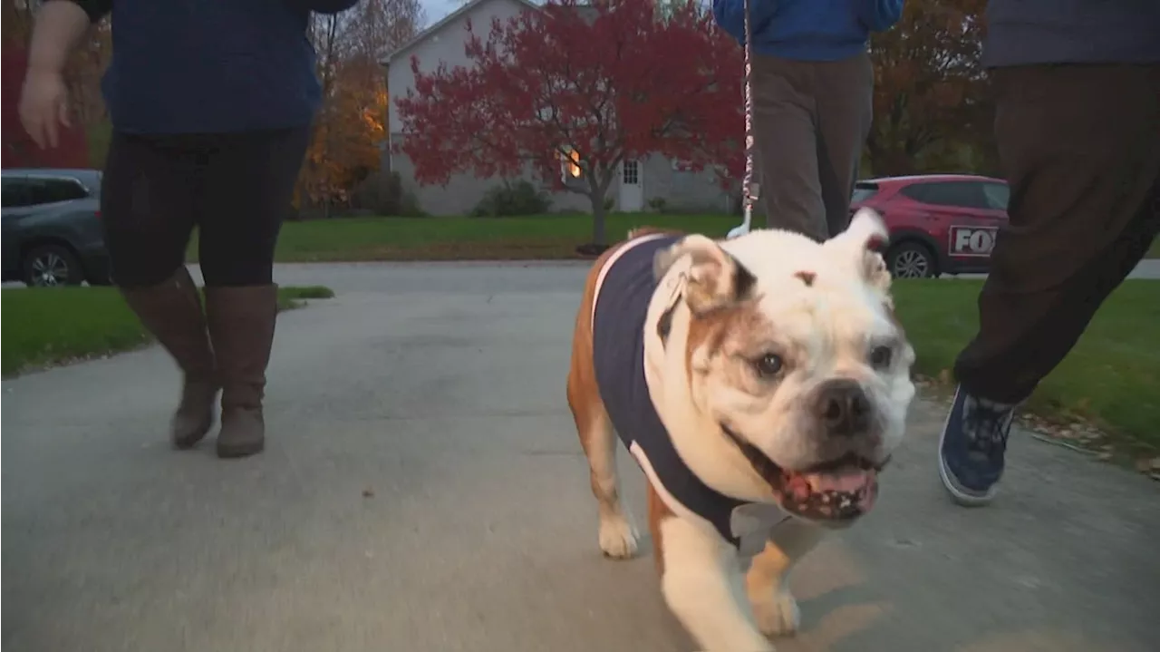 Butler Blue surprises Zionsville Community High School senior with admission letter