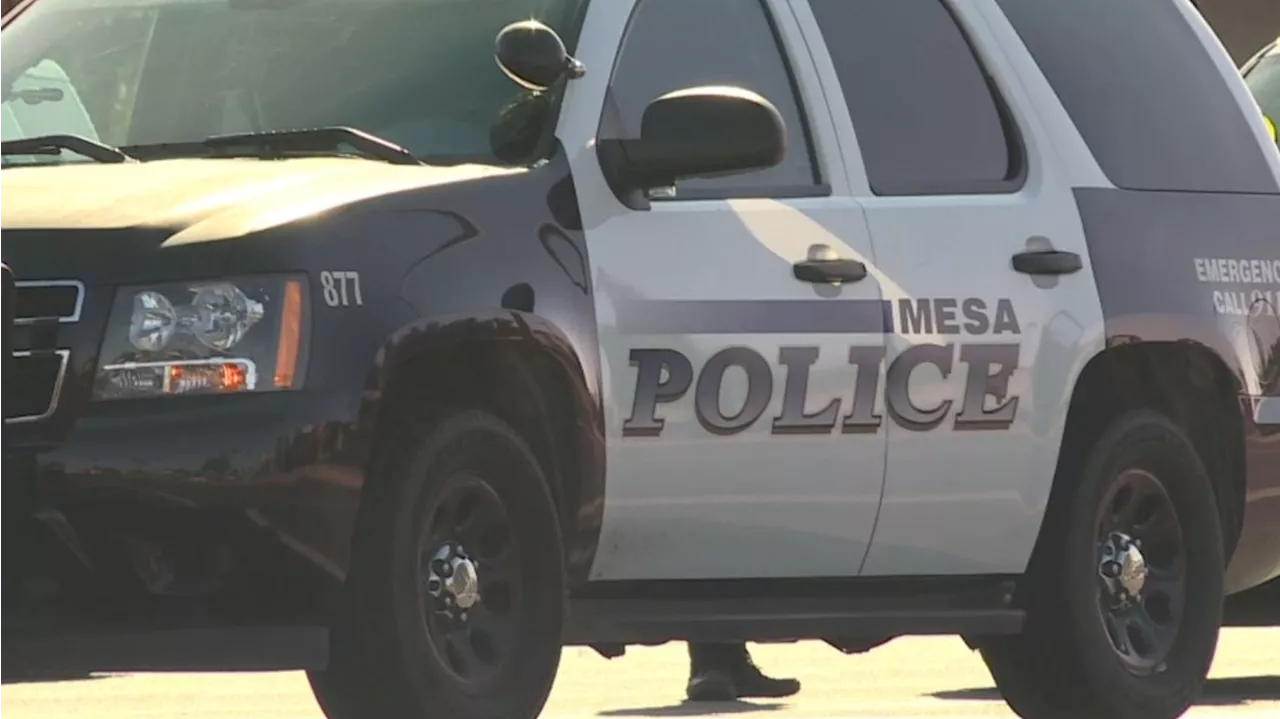 Police: Body found in Mesa canal