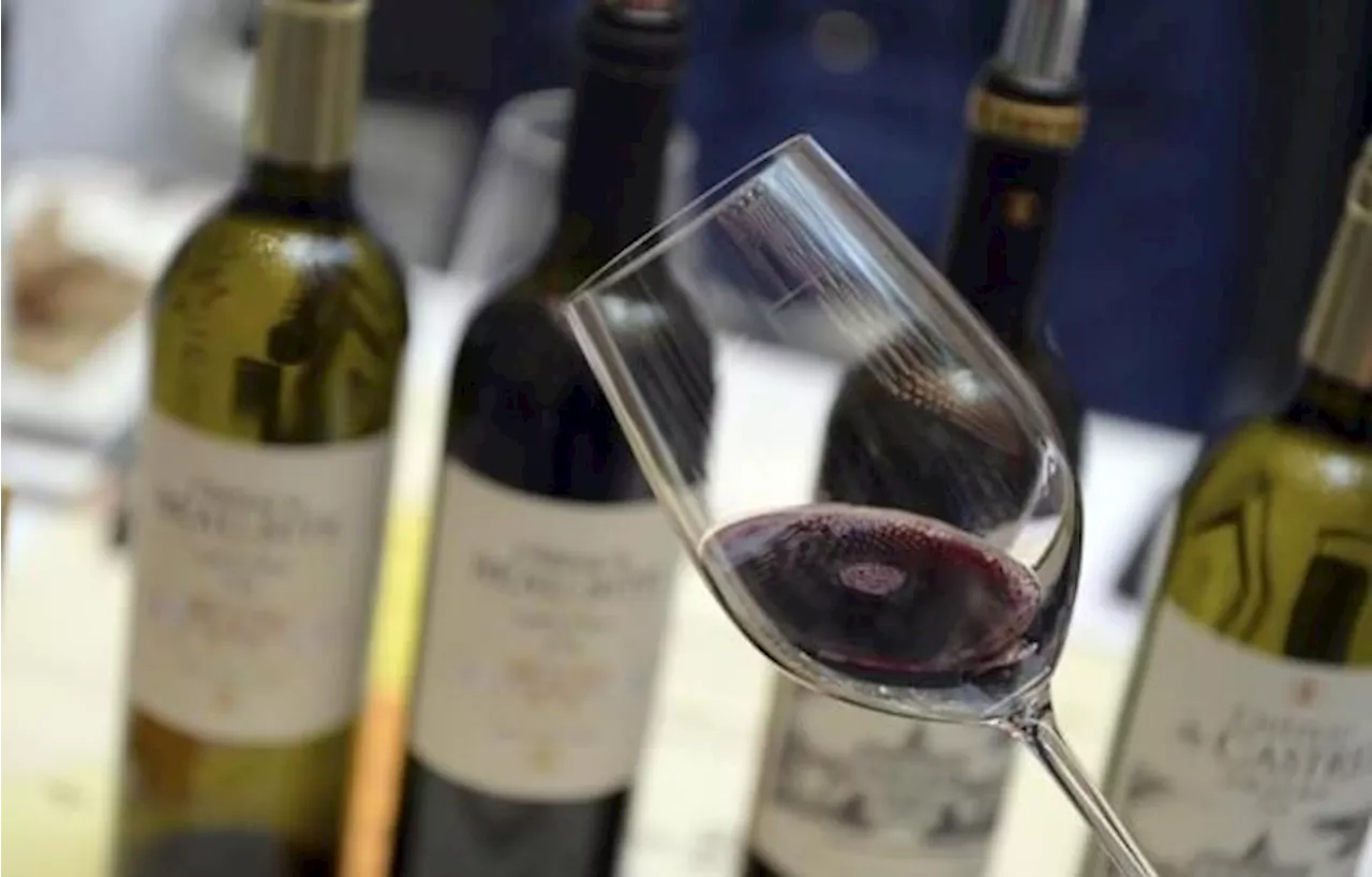 Le goût du vin de Bordeaux : quel avenir pour les vins rouges ?