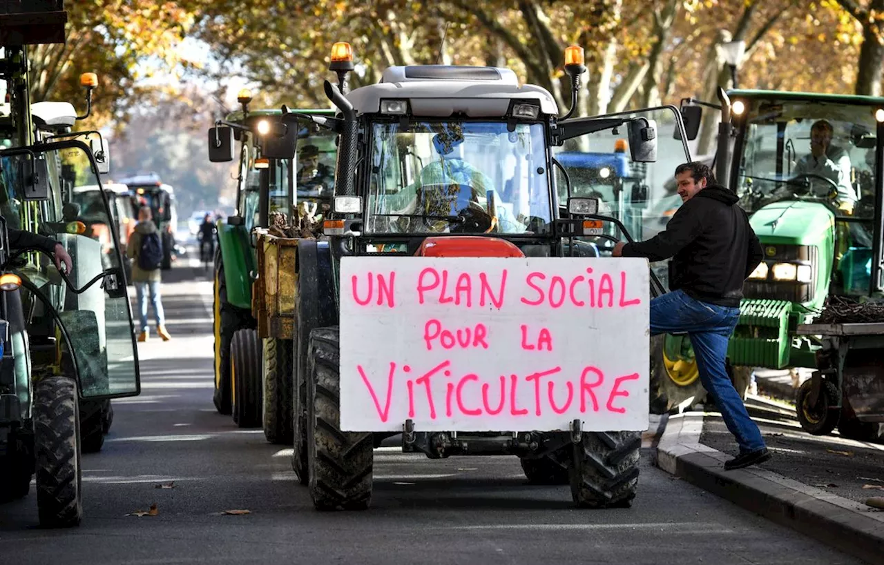 Quel avenir pour le vignoble bordelais ?