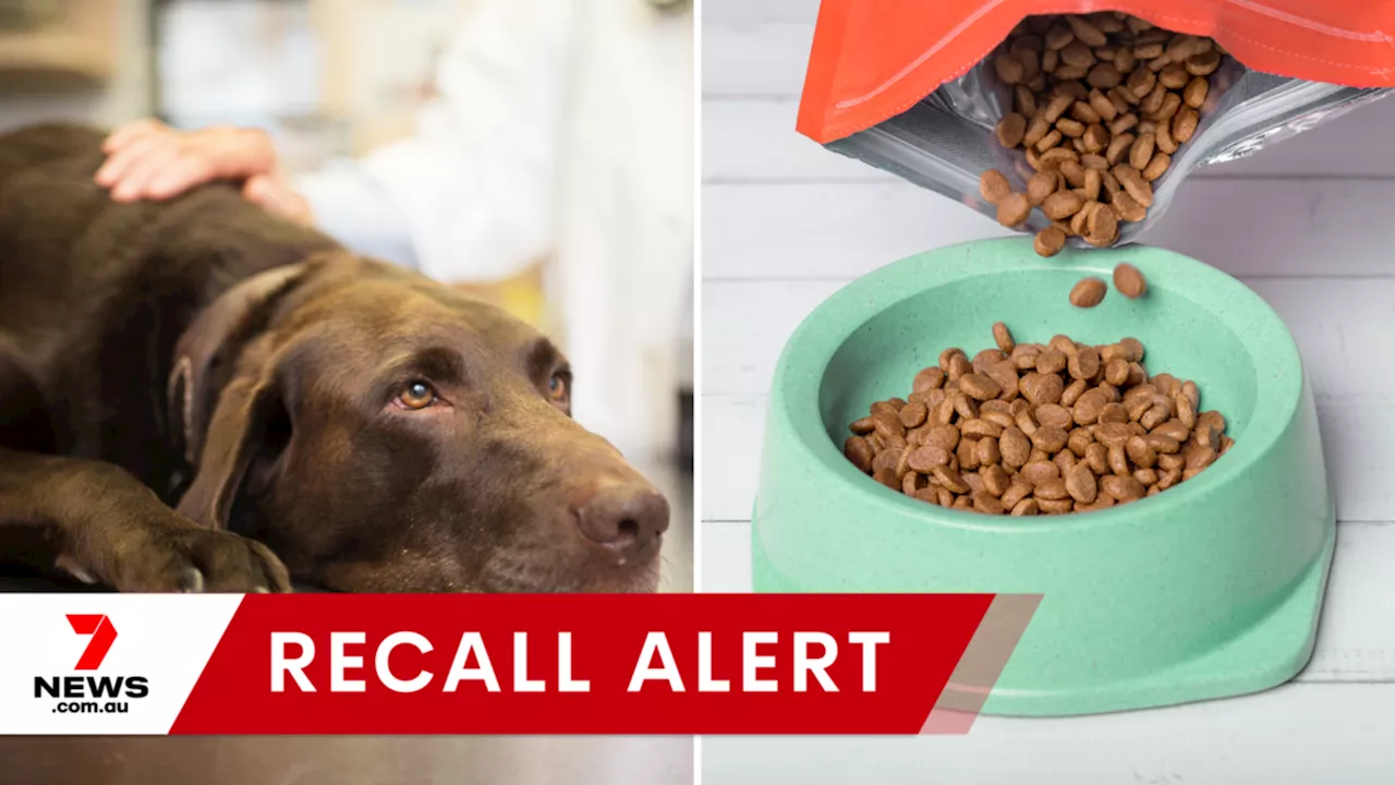 Warning Issued for Dog Food Sold in Australia