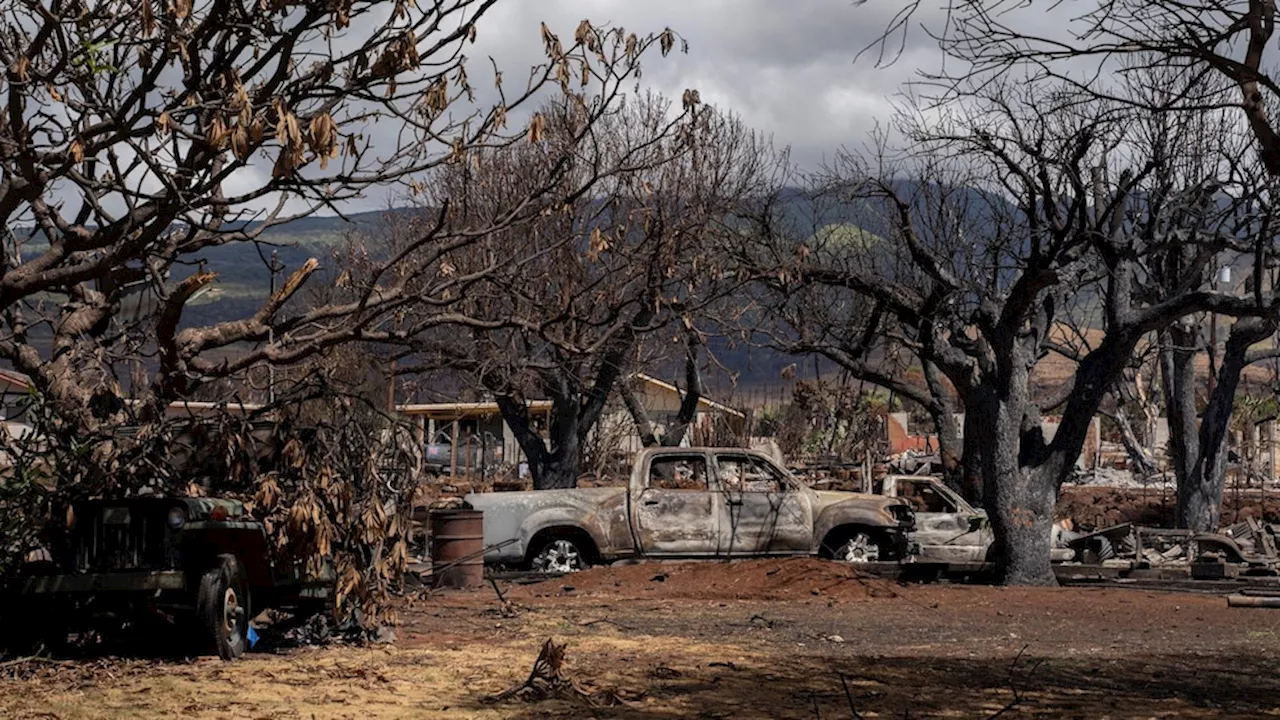 Maui police release 16 minutes of body camera footage from day of Lahaina wildfire